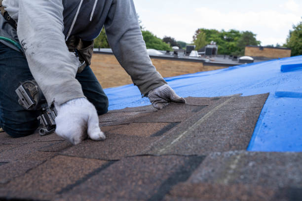Best Roof Waterproofing Services  in Lake Shore, MN